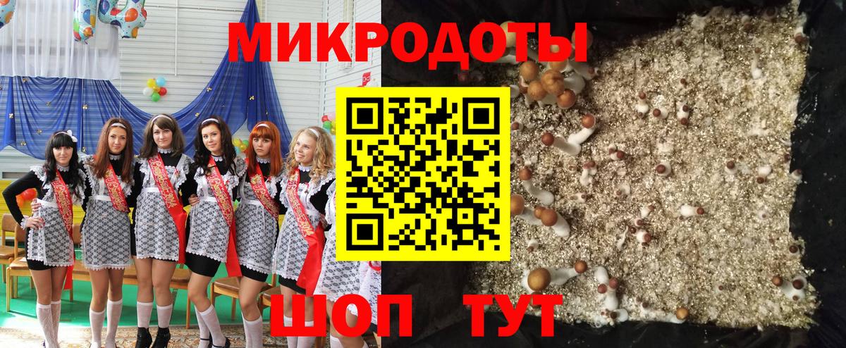 Златоуст  Галлюциногенные грибы прущие грибы  Вход с VPN 
